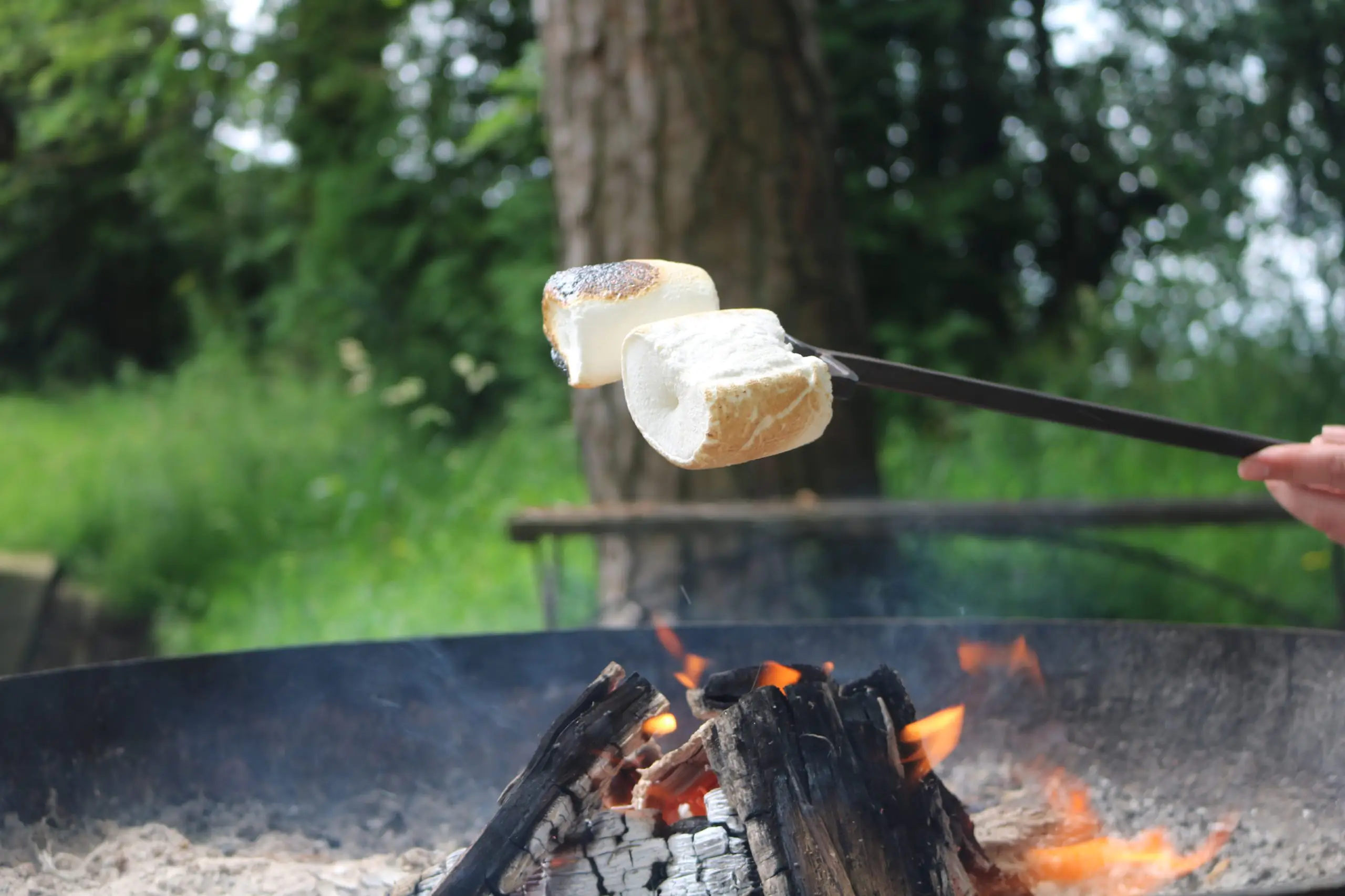 toasting-fork